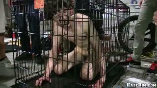 Free XXX movie